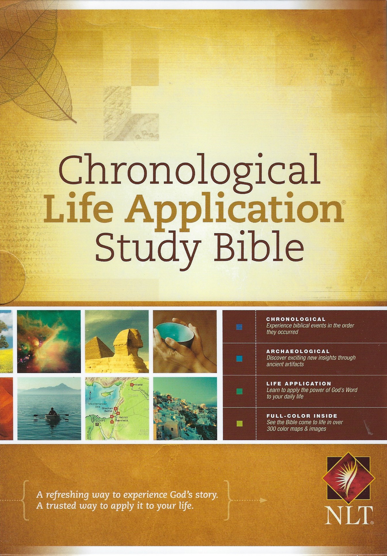 NLT CHRONOLOGICAL LIFE APPLICATION STUDY BIBLE Hardcover